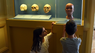 Google Unveils Digital Catalog of Lost Artifacts From Brazil’s Fire-Ravaged National Museum